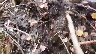 приколы, лучшие прикол 15