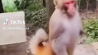 приколы, лучшие прикол 16