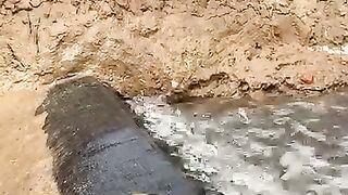 Fish techniq
