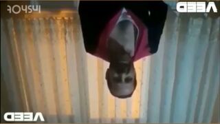 KURANA HAKARET İSLAMA HAKARET DİN DÜŞMANIKURANA HAKARET İSLAMA HAKARET DİN DÜŞMANI