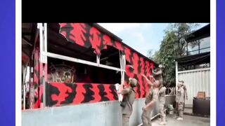 penertiban untuk premanisme
