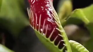 how to protect your home from pest