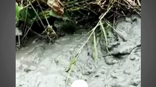 video lucu bikin ngakak sakit perut kelakuan warga 62 #shorts
