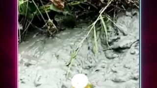 Sosok penghuni lumpur hisap