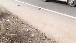 #FunVideo 12