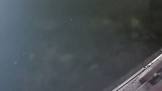 Short target ???? fishing.  Nice video of shoot a fish. ????