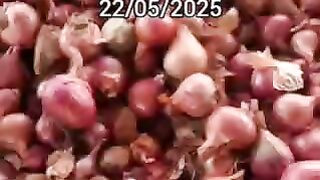 Onion mandi
