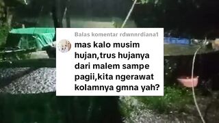 Cara budidaya ikan lele dimusim hujan agar lancar sampai panen