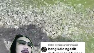 Kasih makan lele sehari berapa kali, jam berapa saja, pakan dibibis atau tidak❓