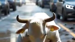 Shabnam Ki Video Aur Shaka Ka Badla 2