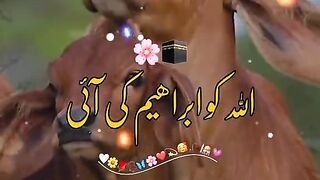 Eid is comming soon