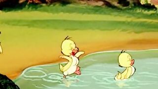 Chick Cartoon