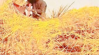 Pak gai kanka tay muk chaly Malay