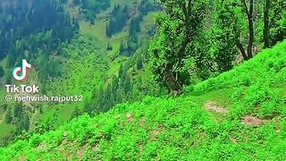 Kashmir 40