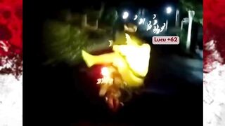 info petarung yang bisa tarung di motor