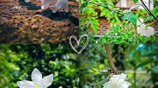 কদর করতে না জানলে সেই জিনিস নসিব থেকে উঠে যায়।