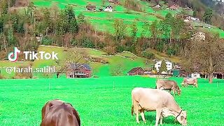 Beaux paysages 2