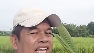 Pikiran Dangkal Bermanfaat