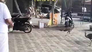 Zaman Tugas Ziarah Walisongo