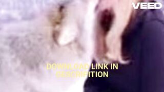 NEWS Video tattoo girl musicbd25.xyz katrinalim video com lim katrina video original
