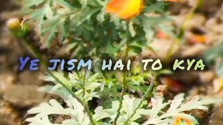Ye jism hai to kya sad song