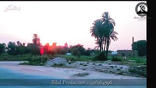 Beauty of our city