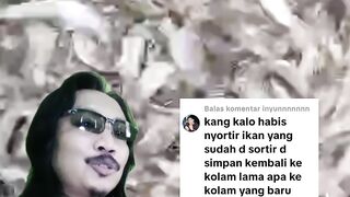 Setelah sortir, ikan lele kita tempatkan kekolam lama atau kekolam baru❓