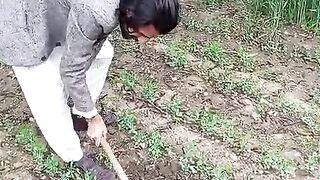 Farming 5