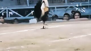 DAFTAR CLUB388 | DELIWIN AGEN SABUNG AYAM BANGKOK TERBAIK