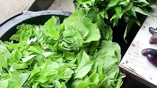 Gardening crops for sale