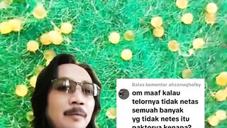 Penyebab telur lele GAGAL menetas alias BONOR