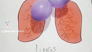 Science project 2