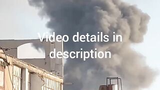 Palestine news
