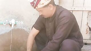Shaadi shaadi 2