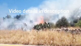 A settler sets fire to Palestinian farmers' lands in the town of Sinjil, north of Ramallah, in the West Bank