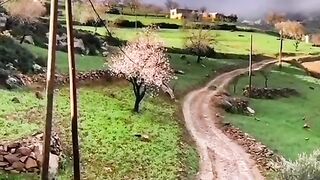 belle nature
