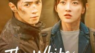 Reporter and Army Love Story | The White Olive Tree Korean drama | Episode 11 |