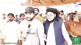 Nasir madni 6