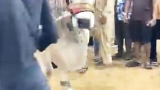 Qurbani janwer 2025