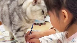 The sweet cat always comfort and care for baby. Fun