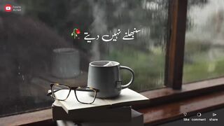 Hum Saath Main Chalte Hai __ New TikTok Shayari __ Shayari Whatsapp status __ Shayari urdu