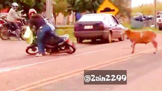 This is hilarious #funnyvideo