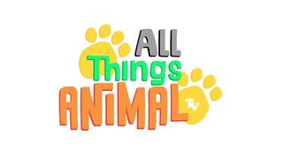 FOX Animals For Kids All Things Animal TV