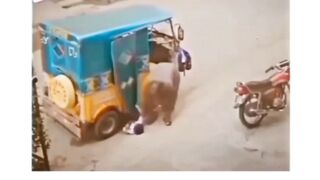 Funny????????