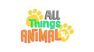 * RHINOCEROS * | Animals For Kids | All Things Animal TV