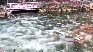 River