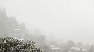 Snow is beauty