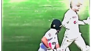 Cricket funny clip