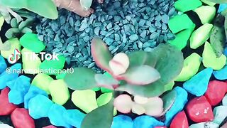 Make flower beautiful with stone
