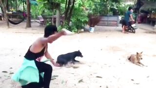Fake Dog